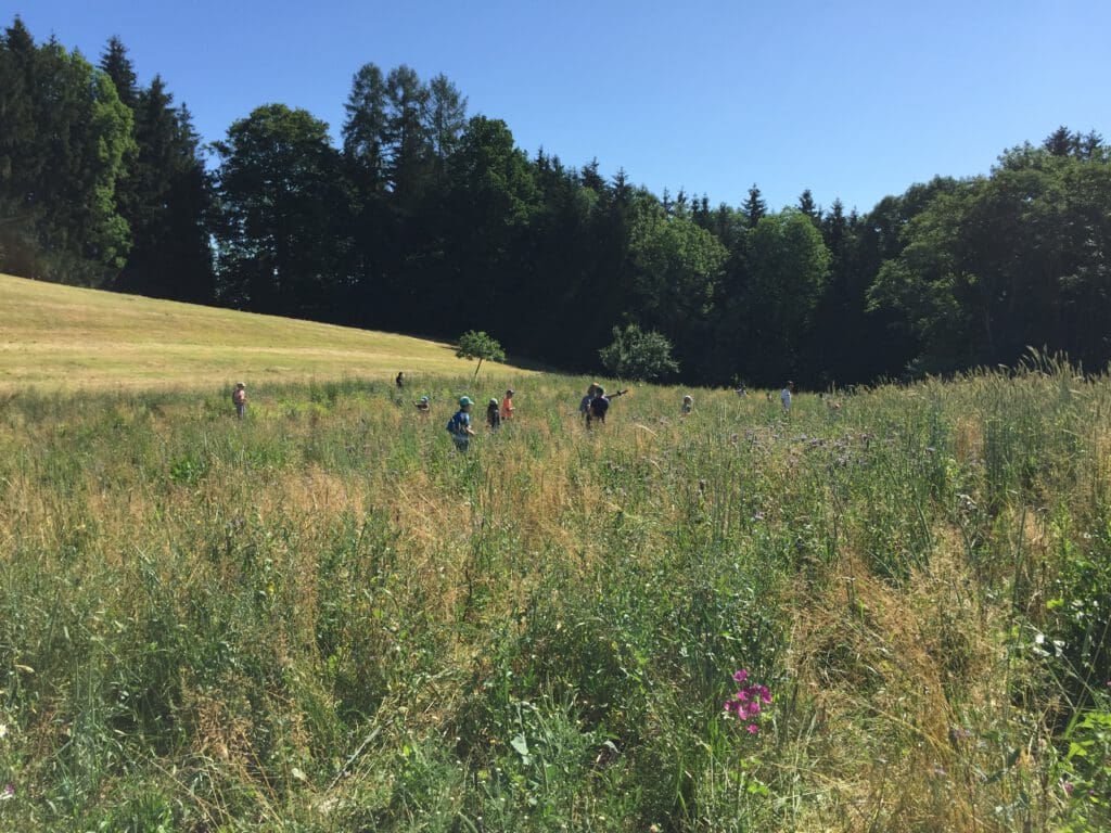 Kinder erkunden die Natur - Sommerferienprogramm Oberhausen